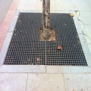 Tree-Pool-Cover1